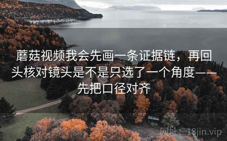 蘑菇视频我会先画一条证据链,再回头核对镜头是不是只选了一个角度——先把口径对齐 蘑菇视频我会先画一条证据链,再回头核对镜头是不是只选了一个角度——先把口径对齐